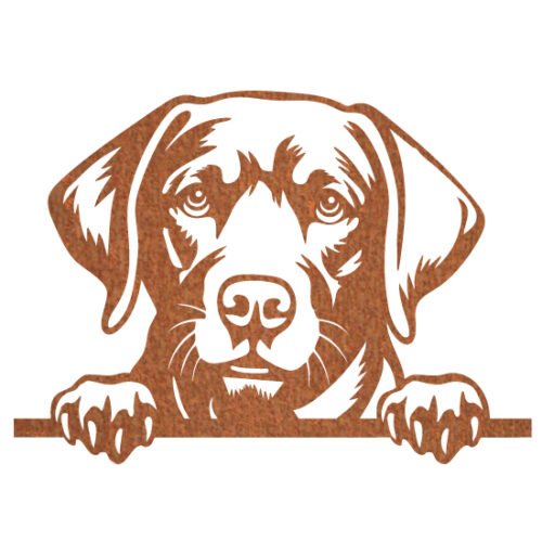 Chesapeak Bay Retriever 50 x 36 cm - Afbeelding 2