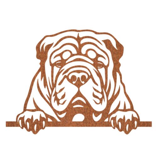 Chinese Sharpei 50 x 36 cm - Afbeelding 2