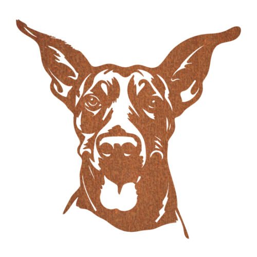 Doberman Pincher 50 x 49 cm - Afbeelding 2