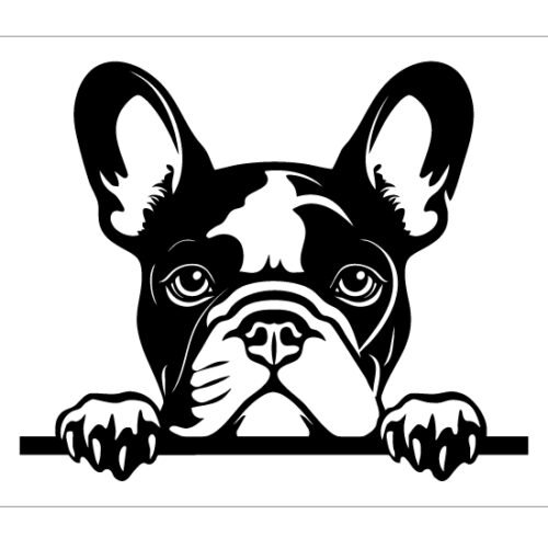 Franse Bulldog 50 x 41 cm