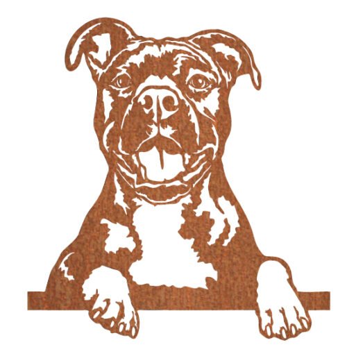 American Stafford 55 x 59 cm - Afbeelding 2