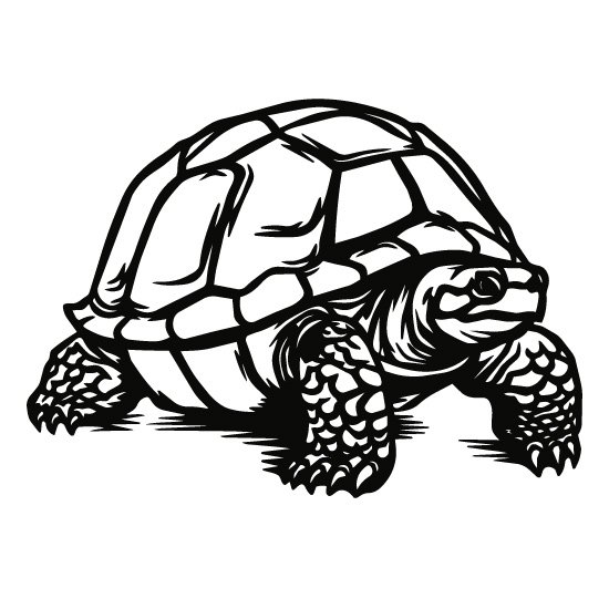 Schildpad 1 - 100 x 100 cm